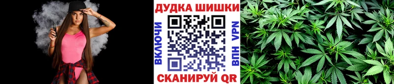 Бошки Шишки гибрид  Амурск 